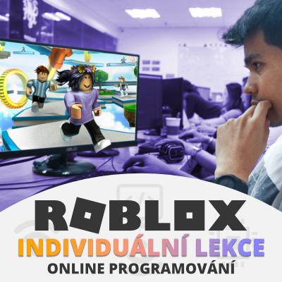Roblox individuální lekce | Bridge Academy