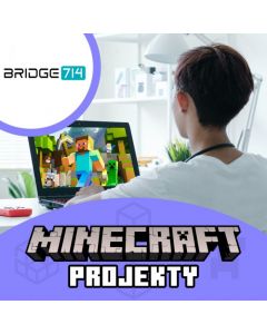 Projekty v Minecraftu - BRIDGE 714, Most