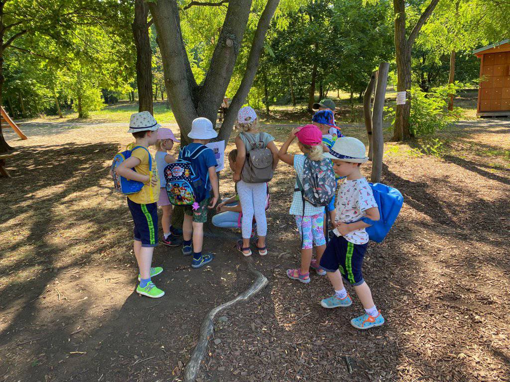 Udržitelnost - Úkoly venku