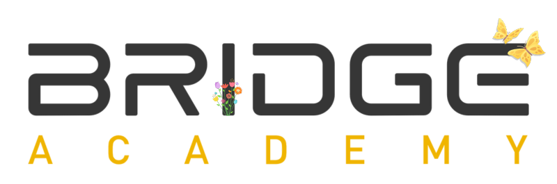 bridge academy